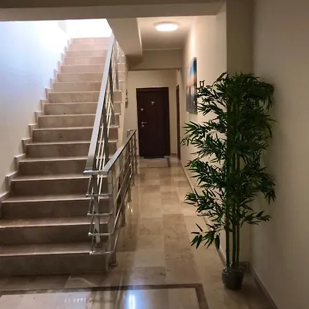 Rohan Studio One * Navodari